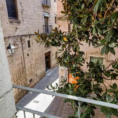 Apartamento A La Sombra De Catedral En Girona Apartment *