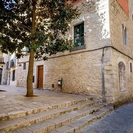 Apartment Apartamento A La Sombra De Catedral En Girona *