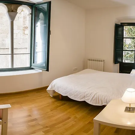 Apartamento A La Sombra De Catedral En Girona Girona
