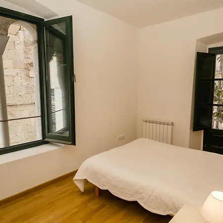 Apartment Apartamento A La Sombra De Catedral En Girona Girona